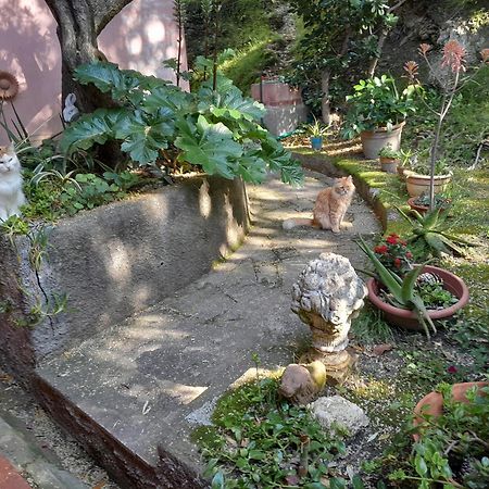 La Camera Tra Gli Ulivi Dream Finale Finale Ligure Zimmer foto